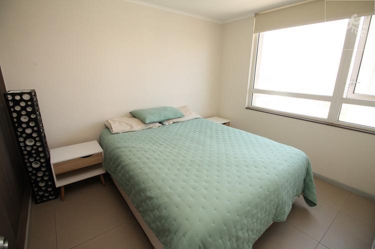 Arriendo Departamento Amoblado Moneda Santiago