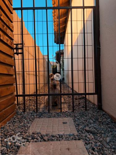 MARAVILLOSA Y AMPLIA CASA EN VENTA – CONDOMINIO LA FUENTE – COLINA, CHICUREO