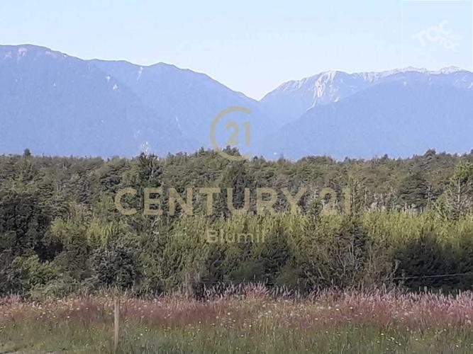 Parcela Nro. 7, Fundo Ventisquero Km. 37, Camino Ensenada