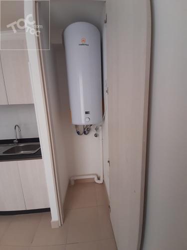 Arriero Estay 3877