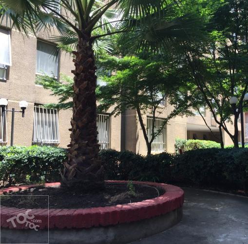 Vicuna Mackenna 955, Condominio Bellocentro Vicuña