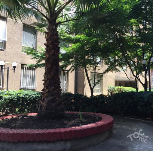 Vicuna Mackenna 955, Condominio Bellocentro Vicuña