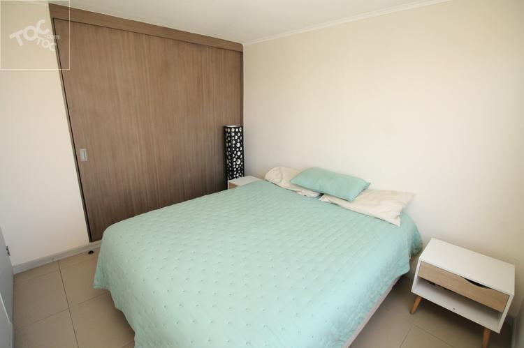 Arriendo Departamento Amoblado Moneda Santiago
