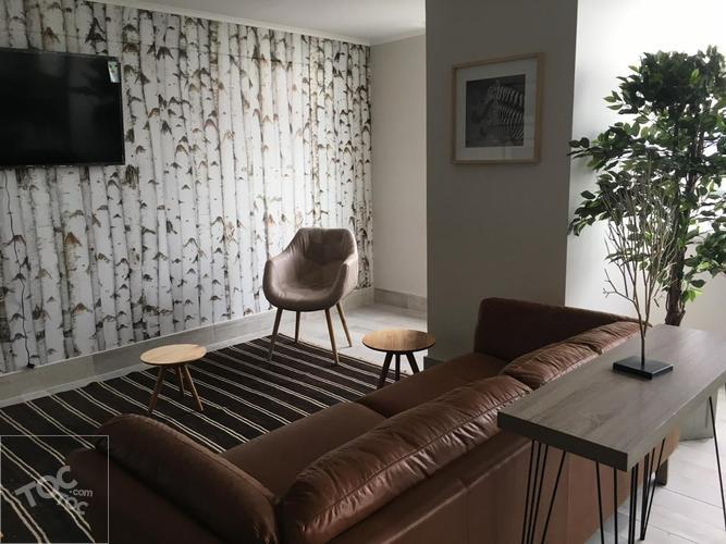 Arriendo Departamento Amoblado Moneda Santiago