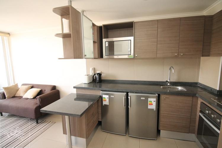 Arriendo Departamento Amoblado Moneda Santiago
