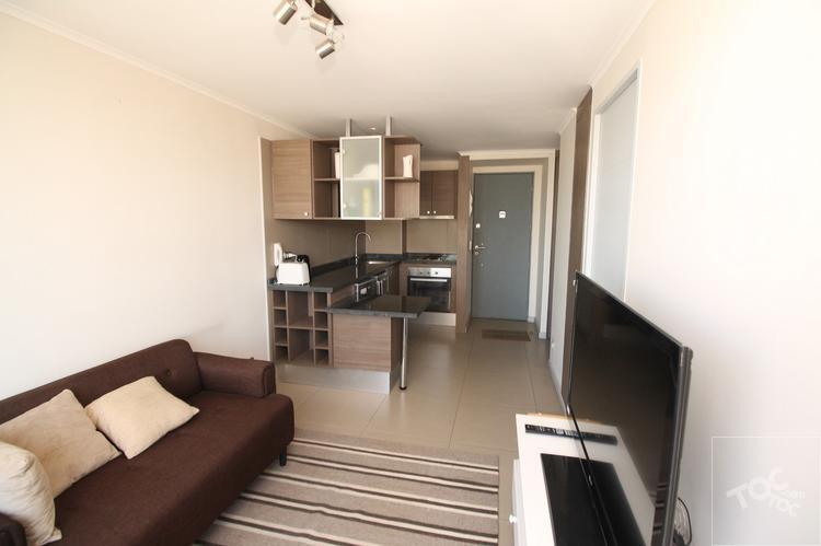 Arriendo Departamento Amoblado Moneda Santiago