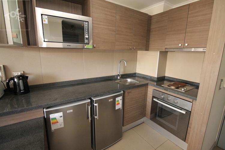 Arriendo Departamento Amoblado Moneda Santiago
