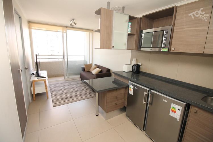 Arriendo Departamento Amoblado Moneda Santiago
