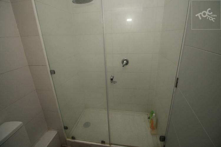 Arriendo Departamento Amoblado Moneda Santiago
