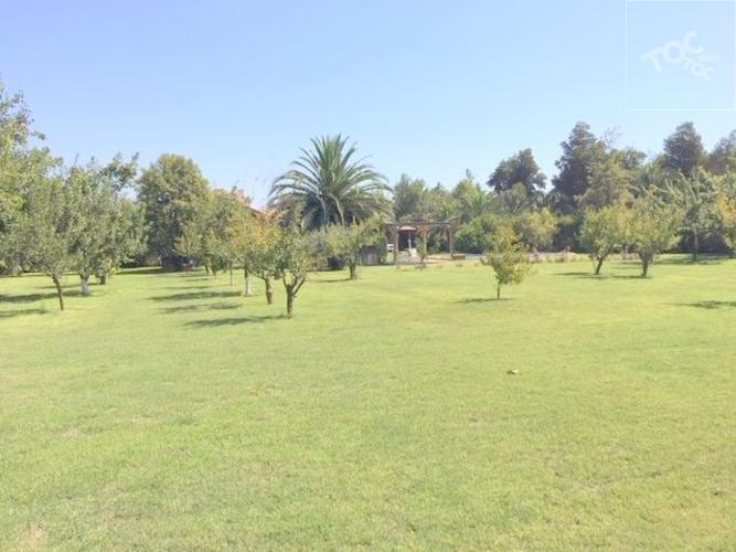 Fundo San Alfonso, Lonquen Sur - SE ACEPTAN OFERTAS