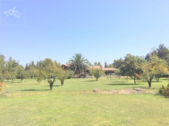 Fundo San Alfonso, Lonquen Sur - SE ACEPTAN OFERTAS