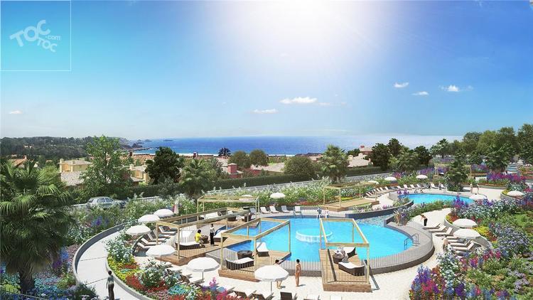 Costa Quintay