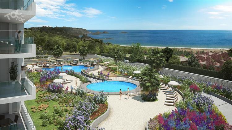 Costa Quintay