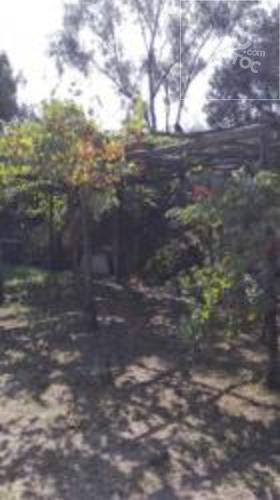 CENTRO PLAZA