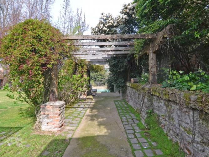 Camino Otoñal - Los Dominicos