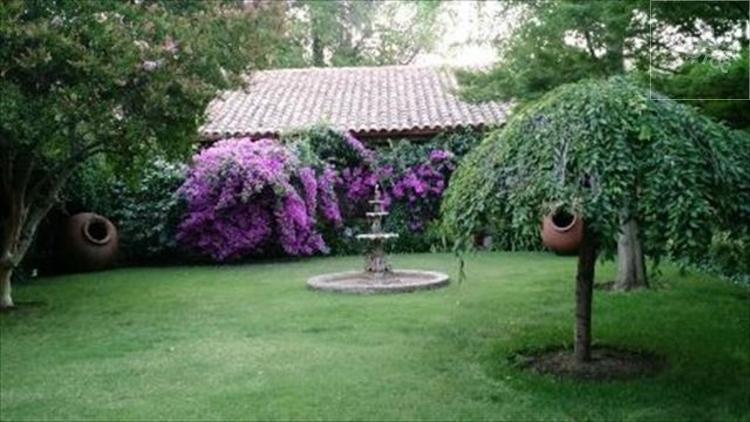 Rinconada Los Andes