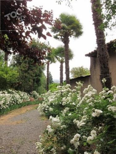 Rinconada Los Andes
