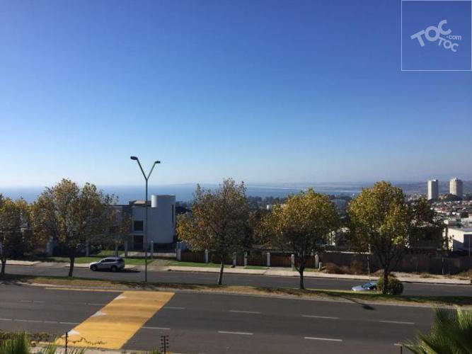 Bosques de Montemar, cercano a St Margarets