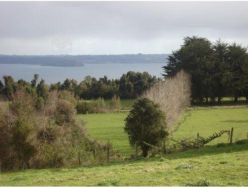 AGRICOLA Playa Maitenes Puerto Octay