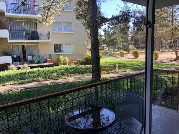 Bosques de La Candelaria, Algarrobo