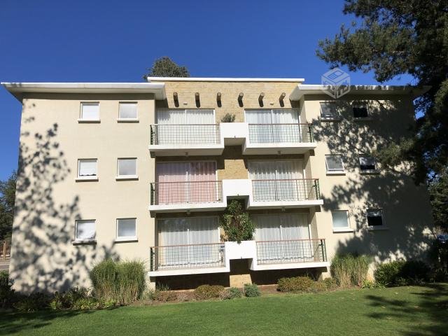 Bosques de La Candelaria, Algarrobo