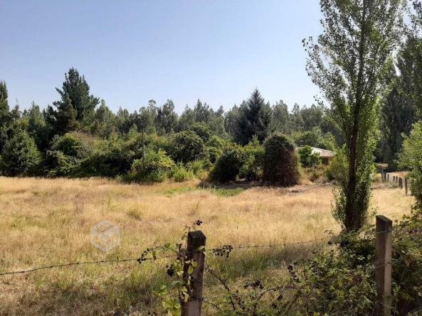 Campos Sector La Suerte Los Ángeles