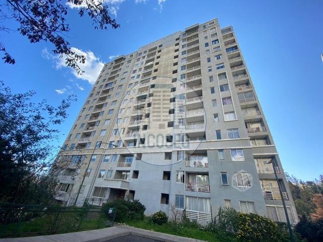 Departamento valparaiso, jardin suizo 4