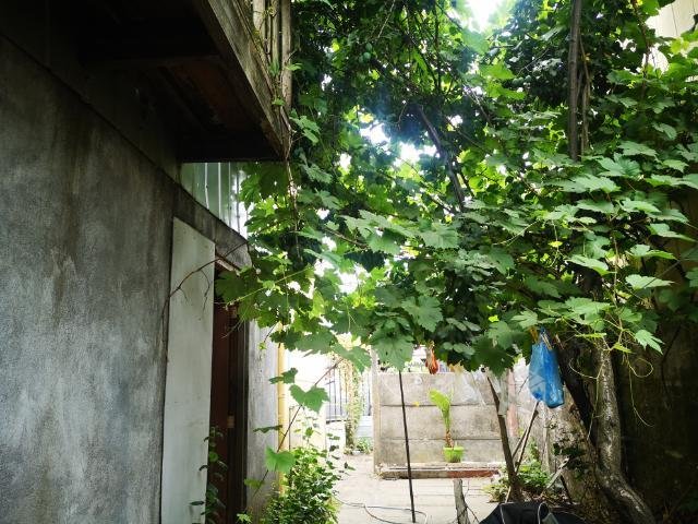 Casa Hualqui Entre Ríos conversable