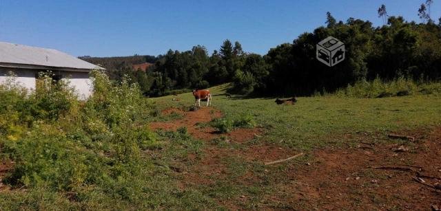 Campo 35 hectáreas