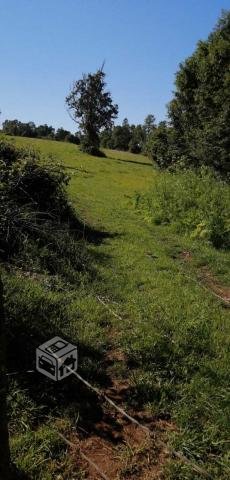 Campo 35 hectáreas