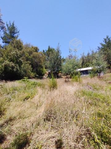 Parcela a 3 km Rafael comuna Tomé