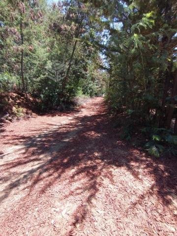Parcela a 3 km Rafael comuna Tomé