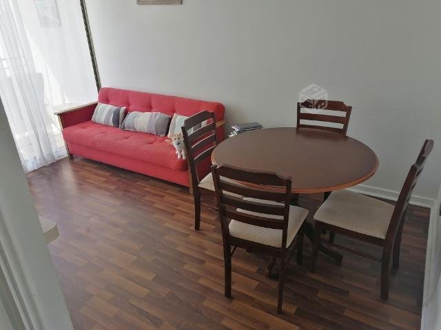 Roommate para compartir departamento