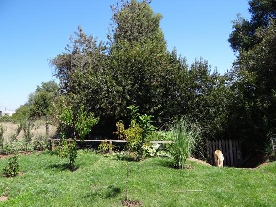 casa en cholguan norte &amp;#8211; Yungay