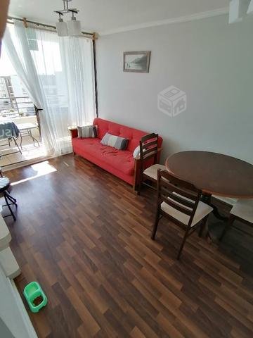 Roommate para compartir departamento