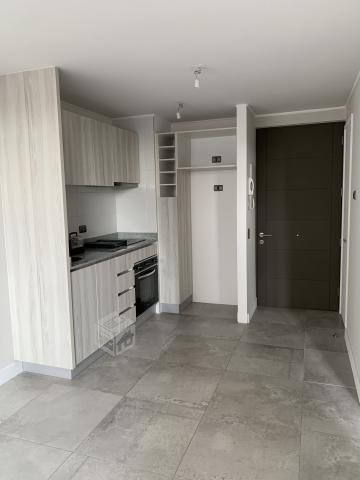 Placilla 046, Edificio Zone