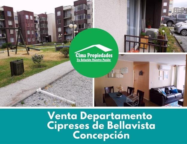 Departamento Cipreses Bellavista Concepcion