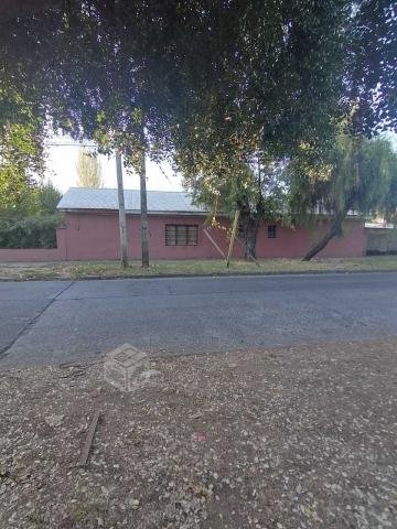 Arriendo casa en calle yungay
