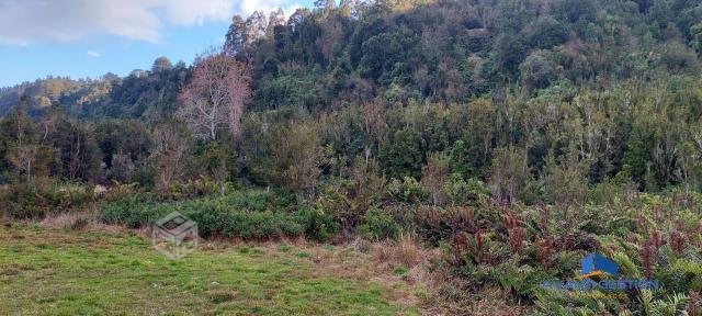 Hermosa Parcela en Rio Chico sector Chamiza