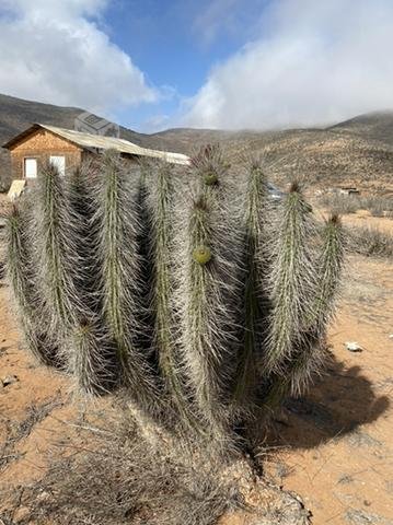 Parcela cerrada con casa Los porotitos (La serena)