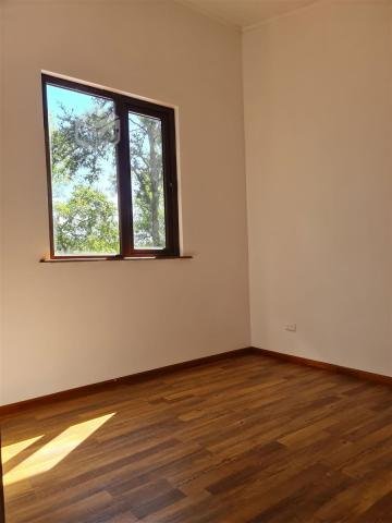 Altos de quita calzón Valdivia