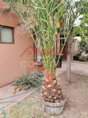 Se vende casa en santa maria del boldo, curicó