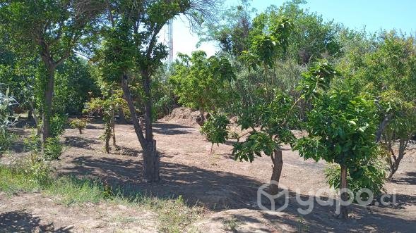 Parcela agricola con 3 casas