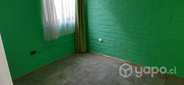 Casa en el olivar