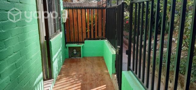 Casa en el olivar