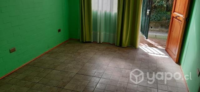 Casa en el olivar