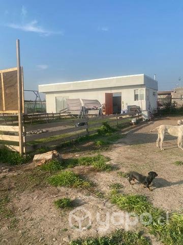 Parcela 5000m2 Talagante