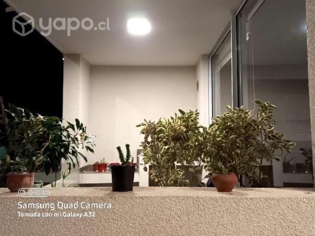 por año corrido 19.10uf