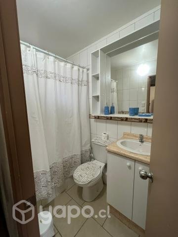  lindo departamento ovalle