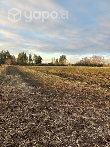 terreno de 1 hectarea mas casa de 170 mts 